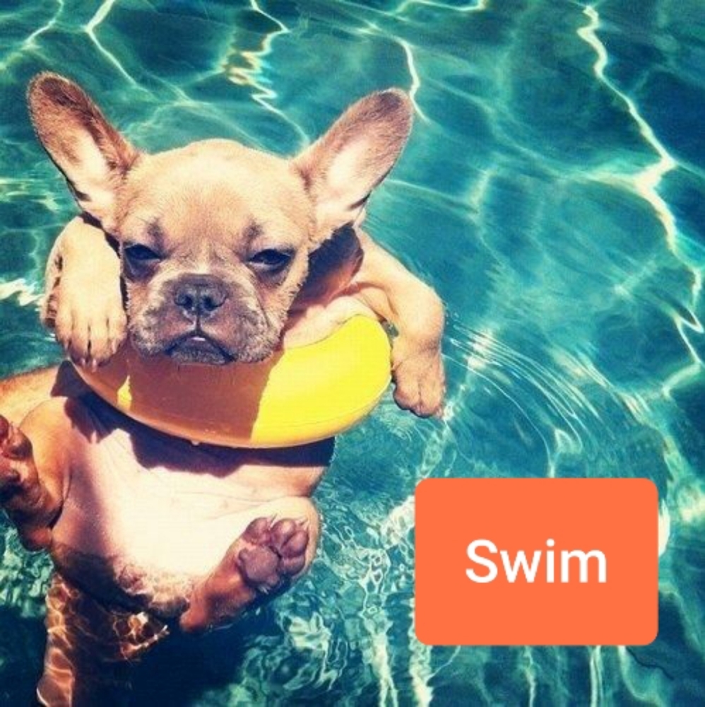 Swim